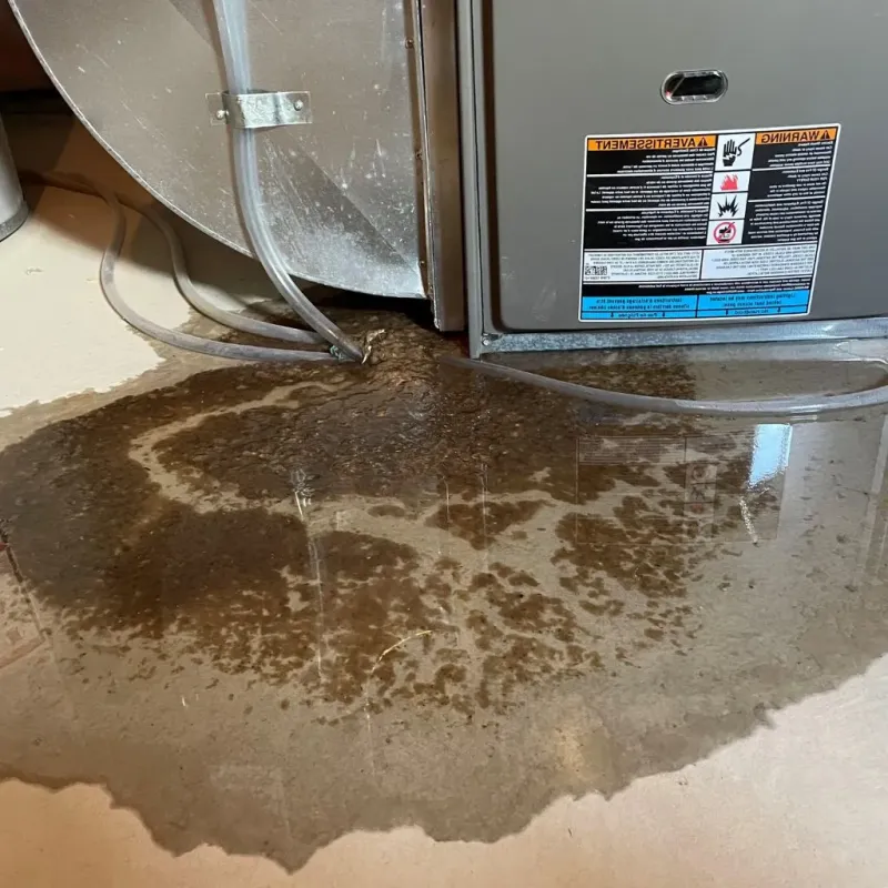 Pipe Burst and Leak Restoration in Greenville, RI