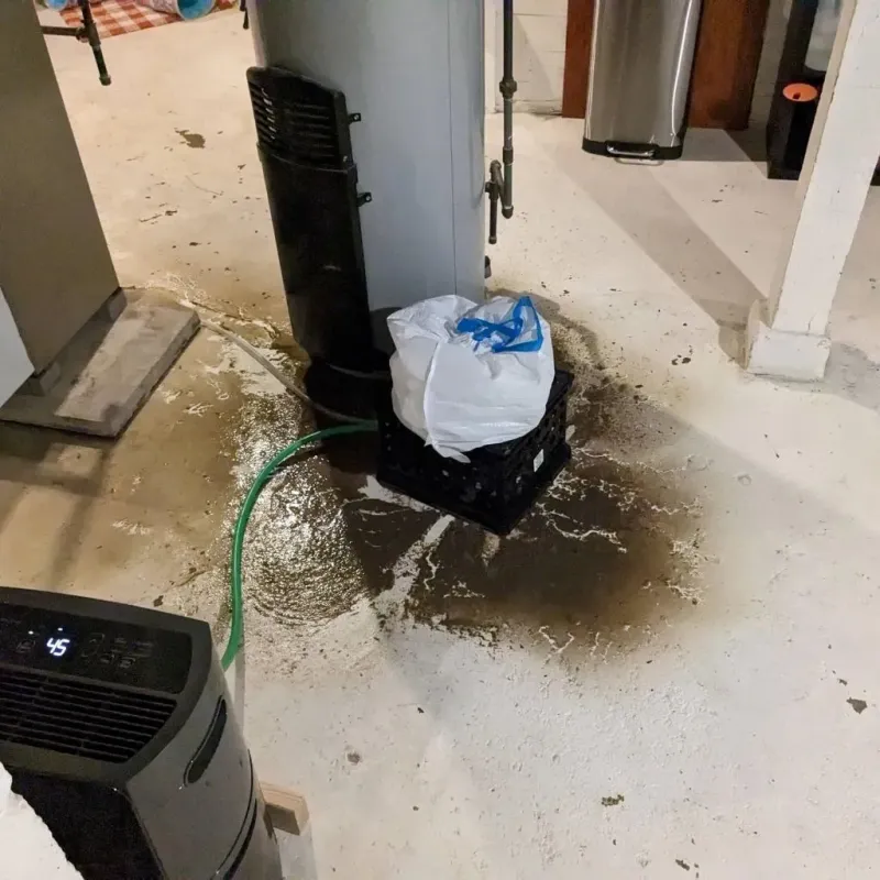 Sewage Backup Cleanup Service in Greenville, RI